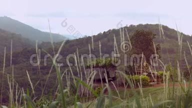 泰国精神之家，圣菲拉·菲姆，雷恩·特沃达，普泰亚·菲姆，在普吉岛的绿山。 岩石和草。 4K